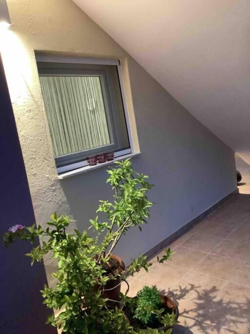 Ng Luxury Apartments At Nea Kallikrateia No 1 Εξωτερικό φωτογραφία